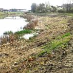 НАПРЕДУЈУ РАДОВИ НА УРЕЂЕЊУ КАНАЛА КРОЗ БАЧ