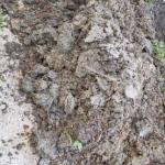 ОТКЛАЊАЊЕ КВАРОВА НА ВОДОВНОЈ МРЕЖИ